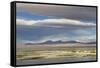 View of hotsprings and saltlake habitat, Atacama Desert, Bolivia-Ben Sadd-Framed Stretched Canvas