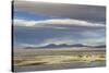 View of hotsprings and saltlake habitat, Atacama Desert, Bolivia-Ben Sadd-Stretched Canvas
