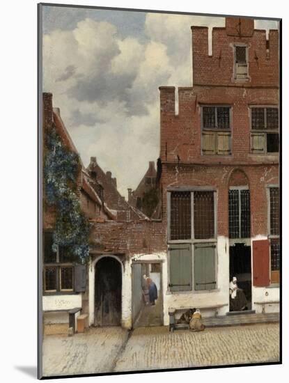 View of Houses in Delft, 1658-Johannes Vermeer-Mounted Art Print