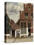 View of Houses in Delft, known as 'The Little Street', C.1658-Johannes Vermeer-Stretched Canvas