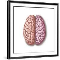 View of Human Brain from the Top-null-Framed Art Print