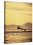 View of Humpback Whale Tail and Fishing Boat, Inside Passage, Alaska, USA-Stuart Westmoreland-Stretched Canvas