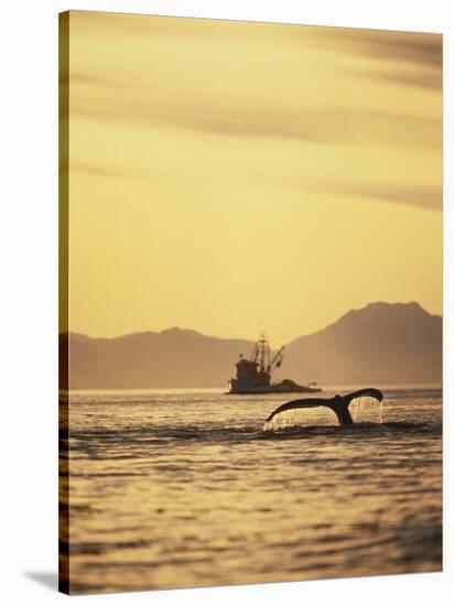 View of Humpback Whale Tail and Fishing Boat, Inside Passage, Alaska, USA-Stuart Westmoreland-Stretched Canvas