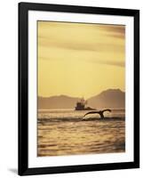 View of Humpback Whale Tail and Fishing Boat, Inside Passage, Alaska, USA-Stuart Westmoreland-Framed Photographic Print