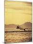 View of Humpback Whale Tail and Fishing Boat, Inside Passage, Alaska, USA-Stuart Westmoreland-Mounted Photographic Print