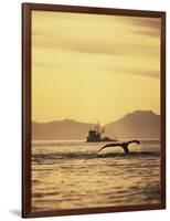 View of Humpback Whale Tail and Fishing Boat, Inside Passage, Alaska, USA-Stuart Westmoreland-Framed Photographic Print