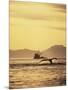 View of Humpback Whale Tail and Fishing Boat, Inside Passage, Alaska, USA-Stuart Westmoreland-Mounted Photographic Print