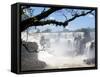 View of Iguassu Falls and Jungle, Argentina-Michele Molinari-Framed Stretched Canvas