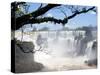 View of Iguassu Falls and Jungle, Argentina-Michele Molinari-Stretched Canvas