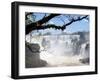 View of Iguassu Falls and Jungle, Argentina-Michele Molinari-Framed Photographic Print