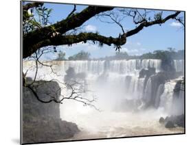 View of Iguassu Falls and Jungle, Argentina-Michele Molinari-Mounted Photographic Print