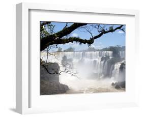 View of Iguassu Falls and Jungle, Argentina-Michele Molinari-Framed Photographic Print