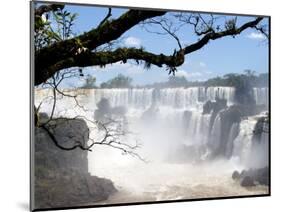 View of Iguassu Falls and Jungle, Argentina-Michele Molinari-Mounted Photographic Print