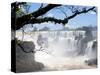 View of Iguassu Falls and Jungle, Argentina-Michele Molinari-Stretched Canvas