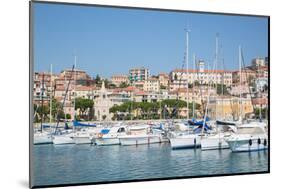 View of Imperia Harbour, Imperia, Liguria, Italy, Europe-Frank Fell-Mounted Photographic Print