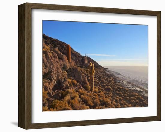 View of Incahuasi Island with its gigantic cacti, Salar de Uyuni, Daniel Campos Province, Potosi De-Karol Kozlowski-Framed Photographic Print