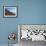 View of Incahuasi Island with its gigantic cacti, Salar de Uyuni, Daniel Campos Province, Potosi De-Karol Kozlowski-Framed Photographic Print displayed on a wall