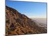 View of Incahuasi Island with its gigantic cacti, Salar de Uyuni, Daniel Campos Province, Potosi De-Karol Kozlowski-Mounted Photographic Print