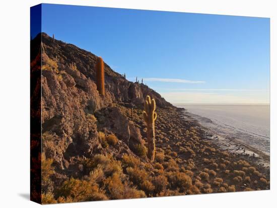 View of Incahuasi Island with its gigantic cacti, Salar de Uyuni, Daniel Campos Province, Potosi De-Karol Kozlowski-Stretched Canvas