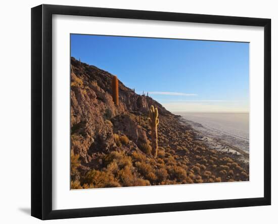 View of Incahuasi Island with its gigantic cacti, Salar de Uyuni, Daniel Campos Province, Potosi De-Karol Kozlowski-Framed Premium Photographic Print