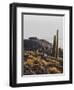 View of Incahuasi Island with its gigantic cacti, Salar de Uyuni, Daniel Campos Province, Potosi De-Karol Kozlowski-Framed Photographic Print