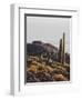 View of Incahuasi Island with its gigantic cacti, Salar de Uyuni, Daniel Campos Province, Potosi De-Karol Kozlowski-Framed Photographic Print