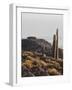 View of Incahuasi Island with its gigantic cacti, Salar de Uyuni, Daniel Campos Province, Potosi De-Karol Kozlowski-Framed Photographic Print