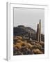 View of Incahuasi Island with its gigantic cacti, Salar de Uyuni, Daniel Campos Province, Potosi De-Karol Kozlowski-Framed Photographic Print