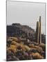 View of Incahuasi Island with its gigantic cacti, Salar de Uyuni, Daniel Campos Province, Potosi De-Karol Kozlowski-Mounted Photographic Print