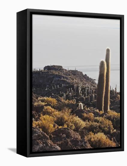 View of Incahuasi Island with its gigantic cacti, Salar de Uyuni, Daniel Campos Province, Potosi De-Karol Kozlowski-Framed Stretched Canvas