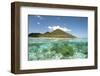 View of island and coral from above and below surface of water, Nyata Island, Lesser Sunda Islands-Colin Marshall-Framed Photographic Print