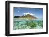 View of island and coral from above and below surface of water, Nyata Island, Lesser Sunda Islands-Colin Marshall-Framed Photographic Print