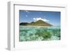 View of island and coral from above and below surface of water, Nyata Island, Lesser Sunda Islands-Colin Marshall-Framed Photographic Print