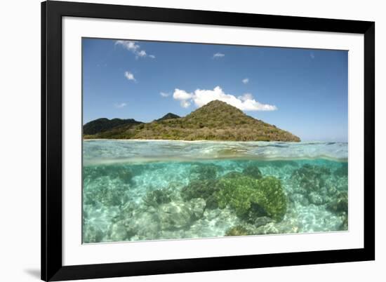 View of island and coral from above and below surface of water, Nyata Island, Lesser Sunda Islands-Colin Marshall-Framed Photographic Print