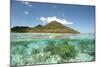 View of island and coral from above and below surface of water, Nyata Island, Lesser Sunda Islands-Colin Marshall-Mounted Photographic Print