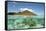 View of island and coral from above and below surface of water, Nyata Island, Lesser Sunda Islands-Colin Marshall-Framed Stretched Canvas
