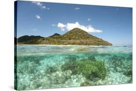 View of island and coral from above and below surface of water, Nyata Island, Lesser Sunda Islands-Colin Marshall-Stretched Canvas