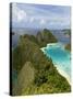 View of Islands Covered With Vegetation, Raja Ampat, New Guinea Island, Indonesia-null-Stretched Canvas