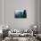 View of Isola Bella Island, Taormina, Sicily, Italy-Peter Adams-Photographic Print displayed on a wall