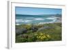 View of Jalama Beach County Park, Near Lompoc, California, United States of America, North America-Ethel Davies-Framed Photographic Print