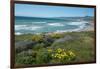 View of Jalama Beach County Park, Near Lompoc, California, United States of America, North America-Ethel Davies-Framed Premium Photographic Print