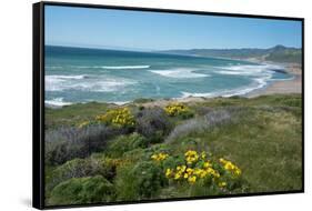 View of Jalama Beach County Park, Near Lompoc, California, United States of America, North America-Ethel Davies-Framed Stretched Canvas