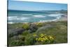 View of Jalama Beach County Park, Near Lompoc, California, United States of America, North America-Ethel Davies-Stretched Canvas