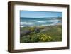 View of Jalama Beach County Park, Near Lompoc, California, United States of America, North America-Ethel Davies-Framed Photographic Print