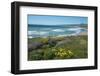 View of Jalama Beach County Park, Near Lompoc, California, United States of America, North America-Ethel Davies-Framed Photographic Print