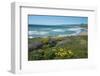 View of Jalama Beach County Park, Near Lompoc, California, United States of America, North America-Ethel Davies-Framed Photographic Print