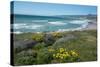 View of Jalama Beach County Park, Near Lompoc, California, United States of America, North America-Ethel Davies-Stretched Canvas