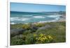 View of Jalama Beach County Park, Near Lompoc, California, United States of America, North America-Ethel Davies-Framed Photographic Print