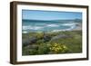 View of Jalama Beach County Park, Near Lompoc, California, United States of America, North America-Ethel Davies-Framed Photographic Print