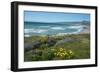 View of Jalama Beach County Park, Near Lompoc, California, United States of America, North America-Ethel Davies-Framed Photographic Print